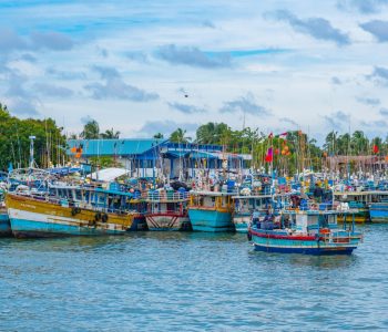 Aerial view of surfers near Hikkaduwa beach. Hikkaduwa, Sri Lanka.