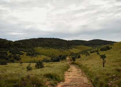 Horton,Plains,National,Park,,Sri,Lanka.