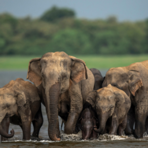 Untitled design - 2025-10-23T204030.125