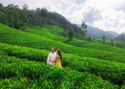 Nature's,Background,Tea,Plantations,Landscape,With,A,Romantic,Couple,Of